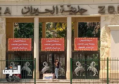 تصوير جيهان نصر